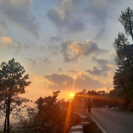 Him Aashrey B&B Homestay Σίμλα Εξωτερικό φωτογραφία
